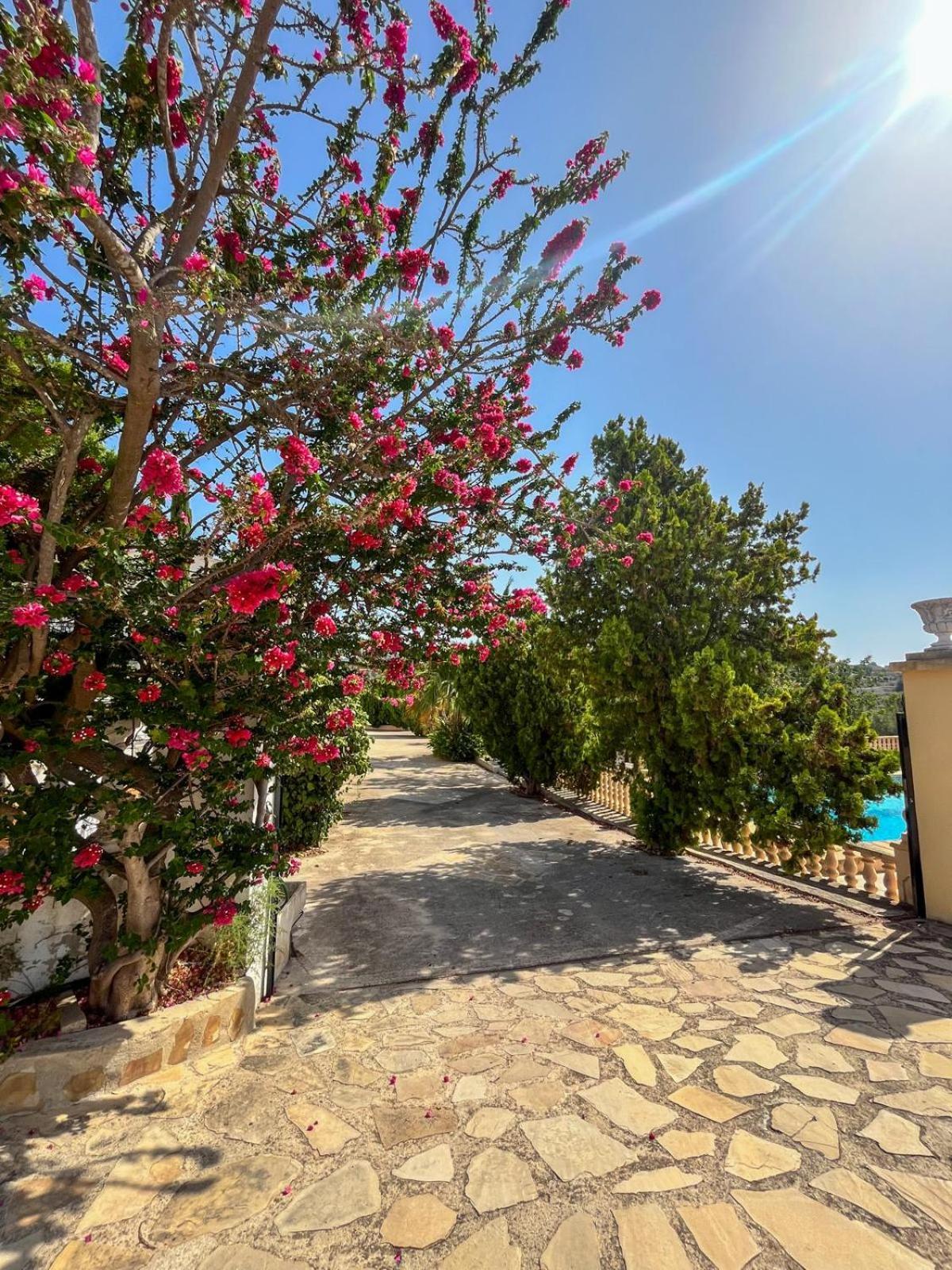 Casa Mar Benissa Calpe Apartment ภายนอก รูปภาพ